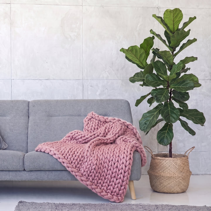 Plaid en grosse maille tricoté main en laine mérinos XXL coloris Rose poudré, posé sur un canapé gris à côté d’un figuier lyre