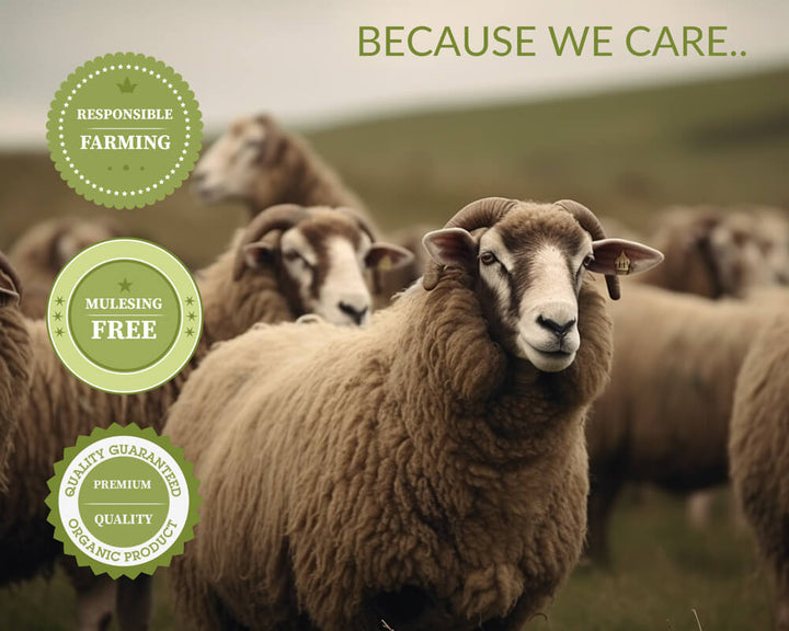 sheep in a field and icons showing responsible farming and mulesing free